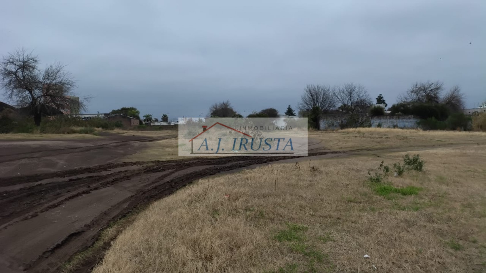 DIVISION DE LOS ANDES Y LUIS NOACO